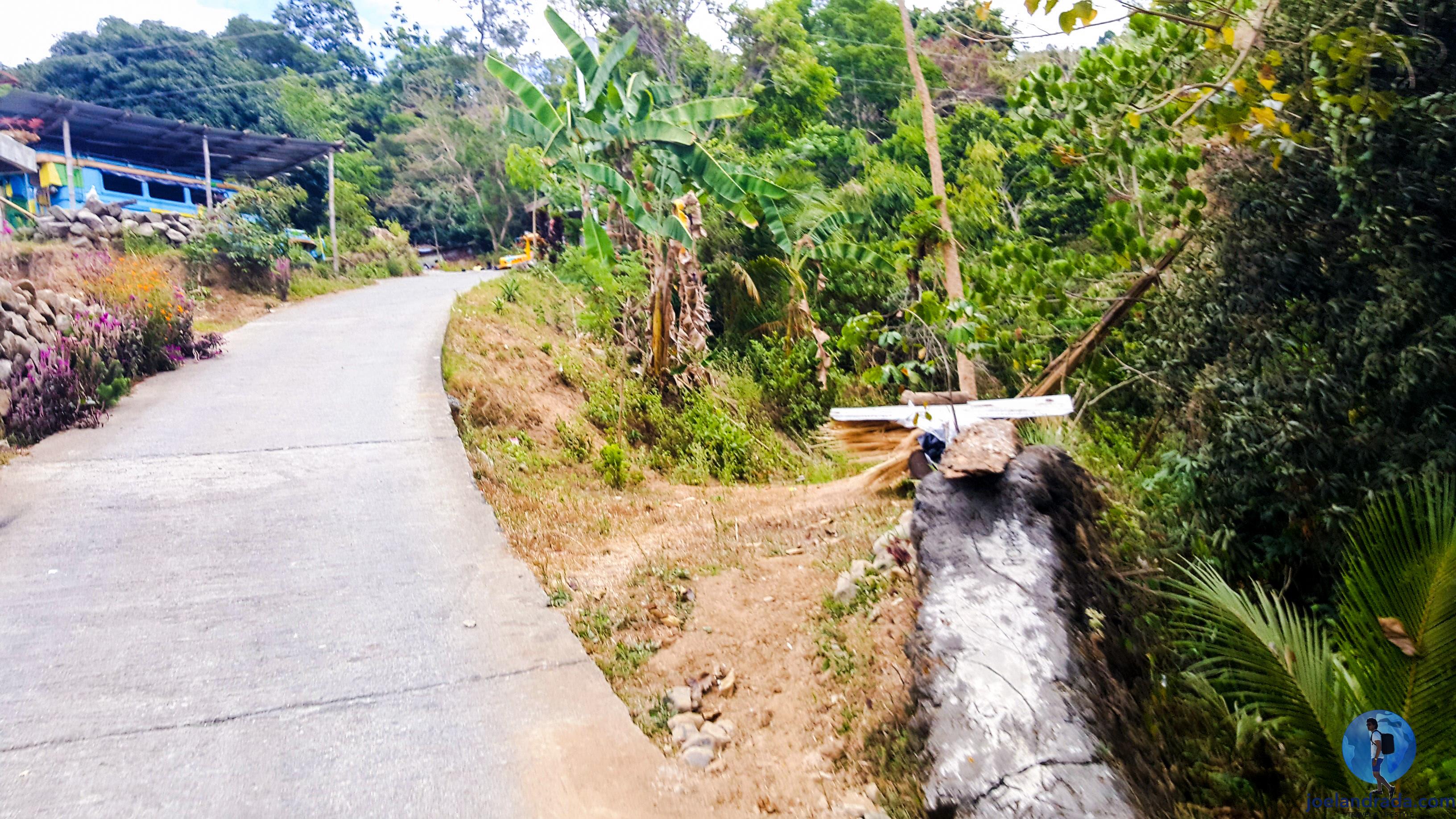 Paved narrow road from the trail head of Tangadan Falls to the jumping-off point